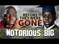 NOTORIOUS B.I.G. - Before They Were GONE