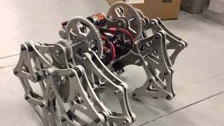 Robowalker Theo jansen RC mechanical walker