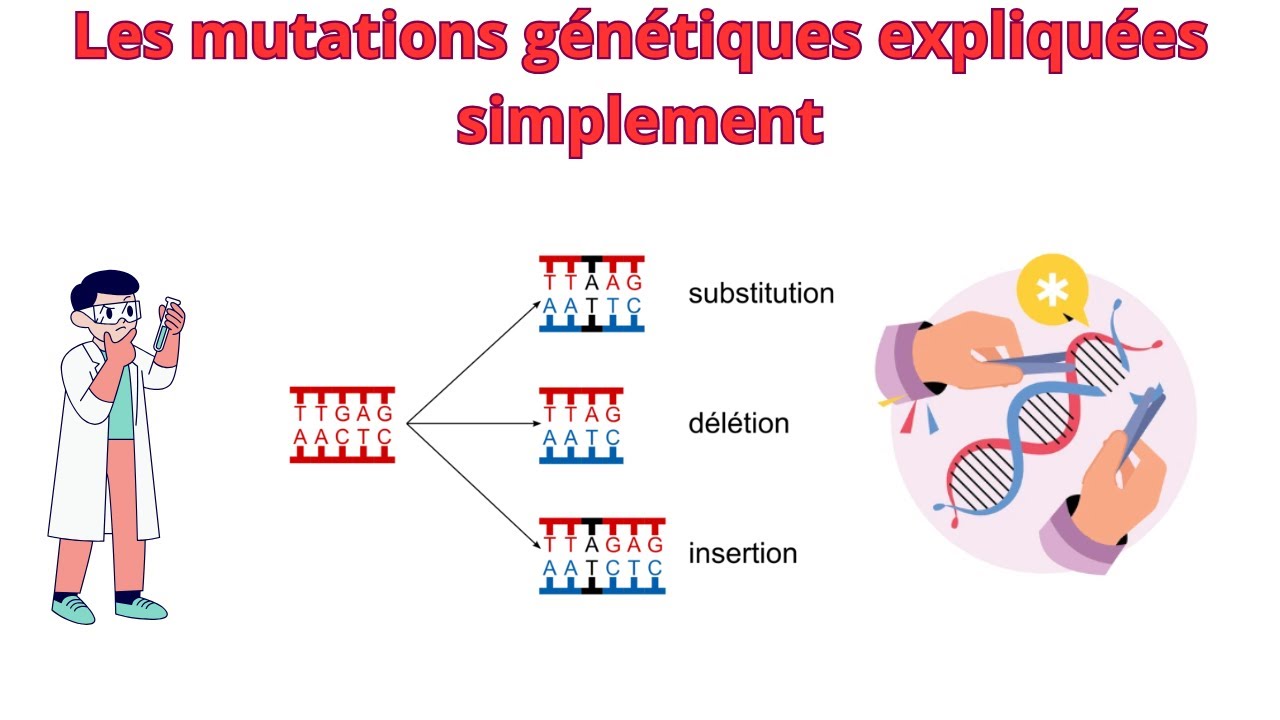 Les mutations génétiques expliquées simplement (Biologie)