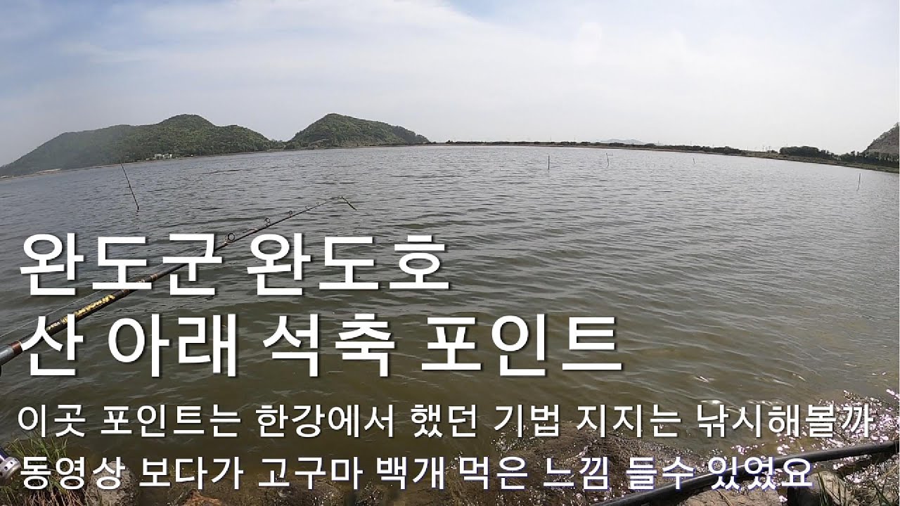 완도군 완도호 산 아래 석축 포인트 bass fishing