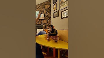 Musical Jolly Chimp toy was the stuff nightmares are made of #vintagetoys #creepy #creepydoll