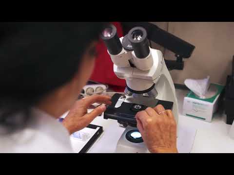 2D materials and the future of technology