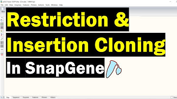 Simulating Restriction And Insertion Cloning In SnapGene