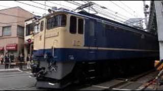【JR東日本】山手貨物線 厩道踏切 EF65 1103 と湘南新宿線 E231