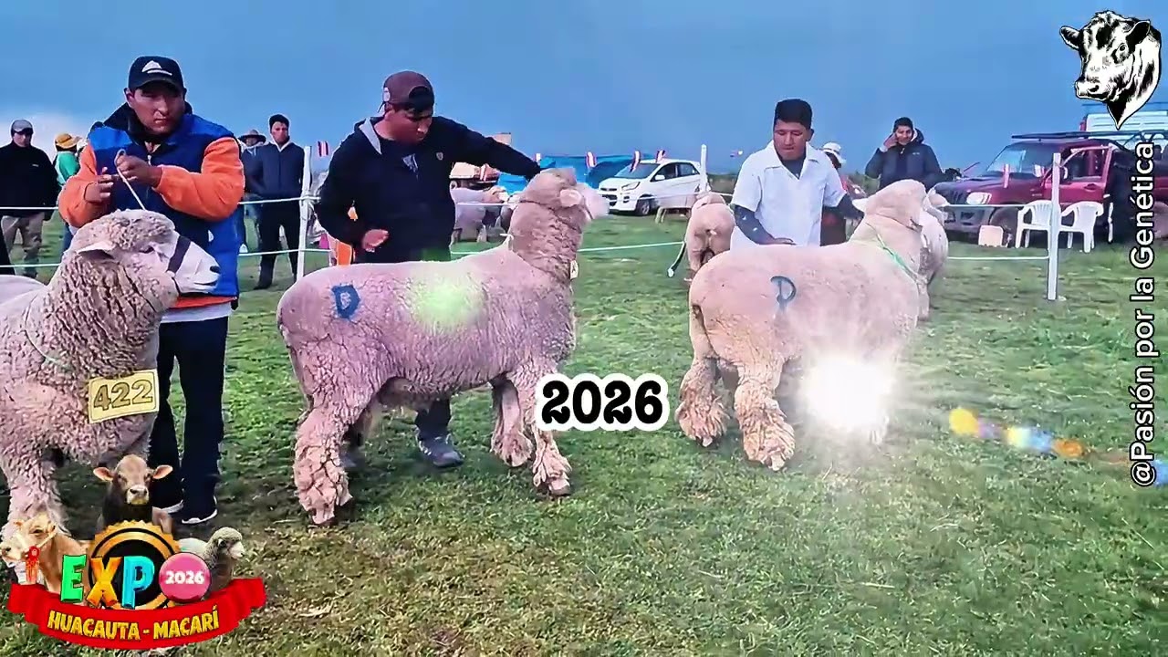 XVII Exposición y XVIII Remate de Ganado para Camal y Reproducción FEGAH 2026