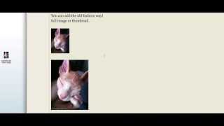 Adding photos to Sphynxlair by Sphynx Lair 87 views 10 years ago 1 minute, 27 seconds