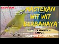 MASTERAN PLECI NEMBAK WIT WIT PANJANG BERBAHAYA!!!