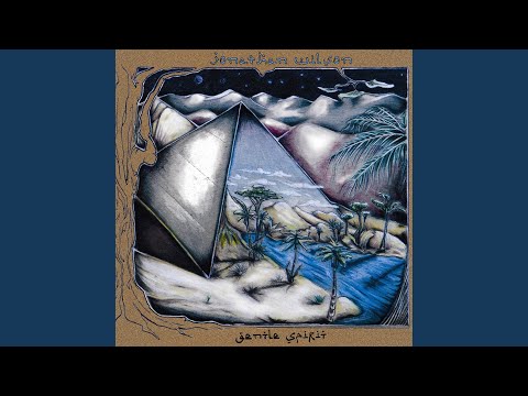 Jonathan Wilson - The Way I Feel