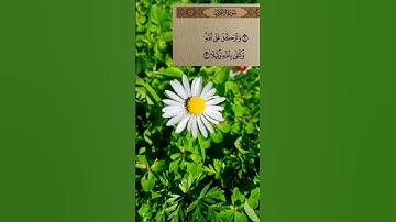 سورة الأحزاب الآية 3 #القرآن_الكريم #quran #توكل_على_الله