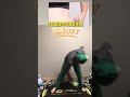 Shrink Your Waist & Lift Your Booty with This Daily Challenge