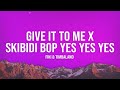 &quot;Skibidi Toilet Giant&quot; [TikTok Remix | Slowed] (Lyrics) | Give It To Me x Skibidi Bop Yes Yes Yes