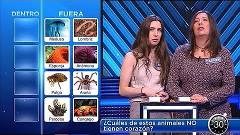 ¿Qué animal no tiene corazón?