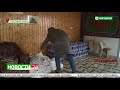 Раздача продуктовой помощи.