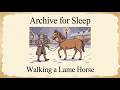 Archive For Sleep | Walking a Lame Horse – Snowbound Coaching Inn 1740 Sleep Story