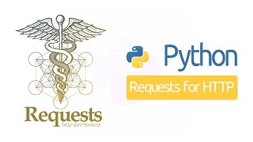 Python 中 HTTP 请求发送第三方模块 requests 使用