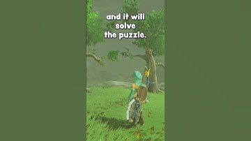 99% BotW players don