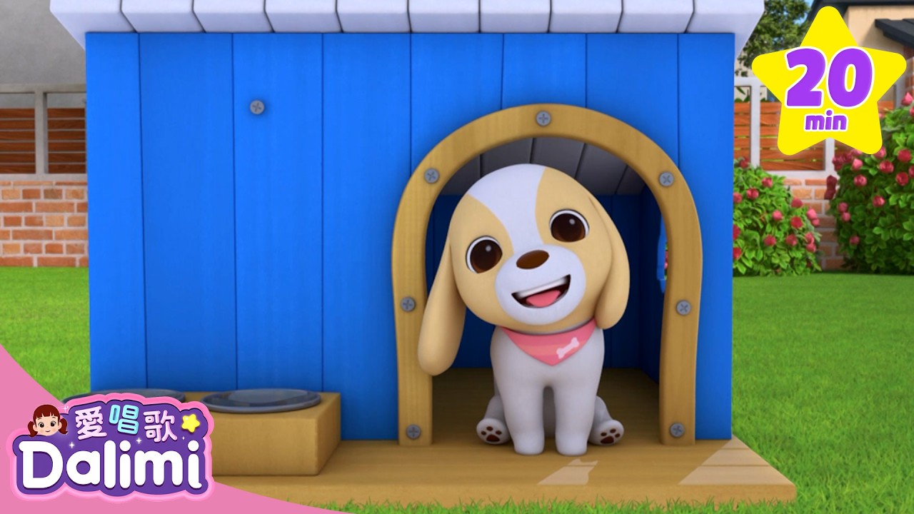 DIY 做狗狗小屋遊戲 🐶🏠✨｜兒歌卡通｜愛唱歌Dalimi