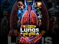 🫁 3D में देखें Lungs के अंदर का नजारा 😱 । सांस लेते समय शरीर में क्या होता है?। CardioNex Academy |
