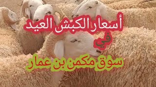 أسعار المواشي  من مكمن بن عمار ولاية النعامة 5جوان 2021