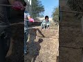 Snake Entered Animal Store Grass #ytshorts