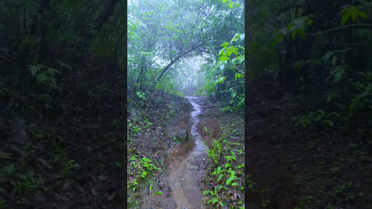 Loving this Tahuli Hills Trek  Malangad  Haji Malang  shorts  tahuli  monsoontrekking