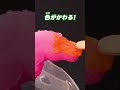かえちゃOh!!ワールド 最強恐竜シリーズ②