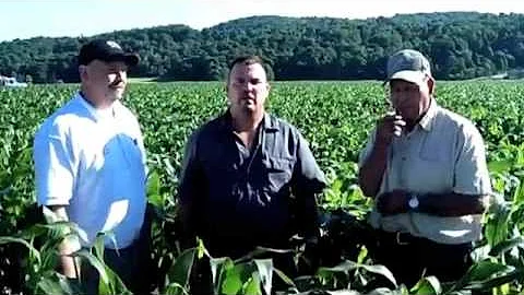Hoeffner Farms - Fresh Local Corn
