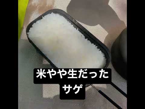 メスティンで米を炊いた日 #キャンプ飯 #バーベキュー