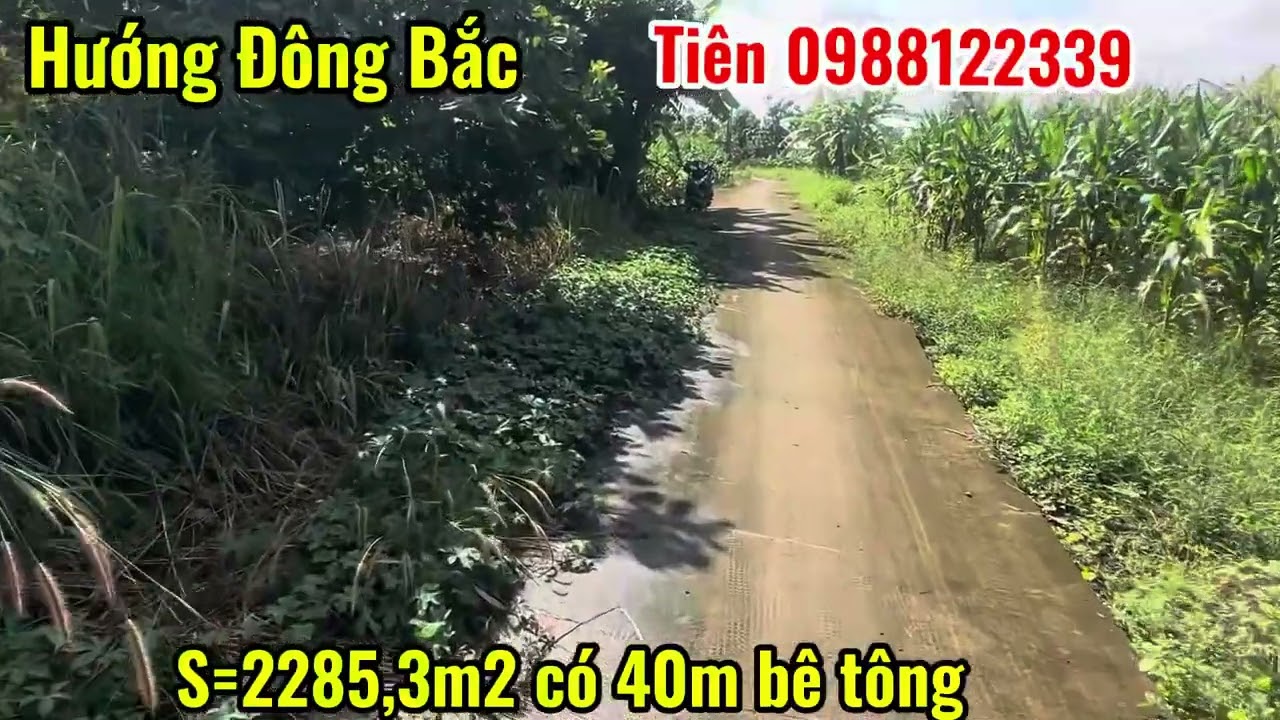 Mảnh đất xào mặt tiền bê tông chỉ 420tr Alo em 0988122339