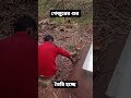 ঝাড়গ্রামে খেজুরের গুর তৈরি হচ্ছে।।#viral #youtube #viralshort #shortfeed #viralshort #jhargram