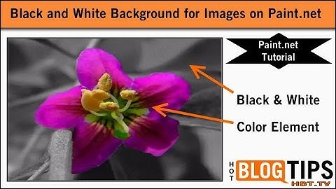 Black and White Background for Images Paint.net