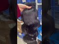 #bodywavehair #berrysfashionhair +8618923441950