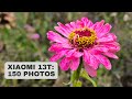 Xiaomi 13T and photography: Review + 150 test photos - YouTube