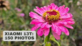Xiaomi 13T and photography: Review + 150 test photos - YouTube