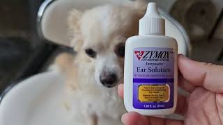 HONEST review of ZYMOX Enzymatic Ear Solution for Dogs