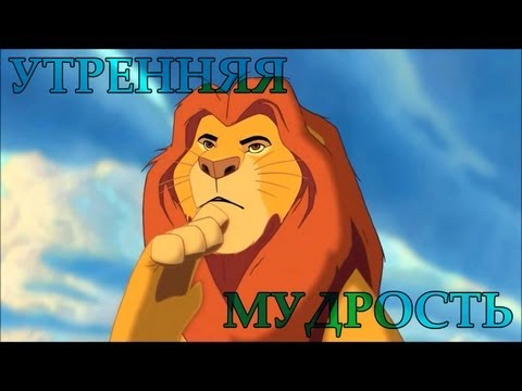 Утренняя мудрость от короля танков