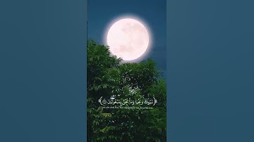 قران كريم بصوت جميل #قران_كريم #راحة_نفسية #هدوء 