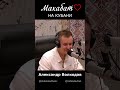 МАХАБАТ на Кубани ❤️🎧 Александр Волкодав на радио Казак FM #александрволкодав #краснодар #любовь
