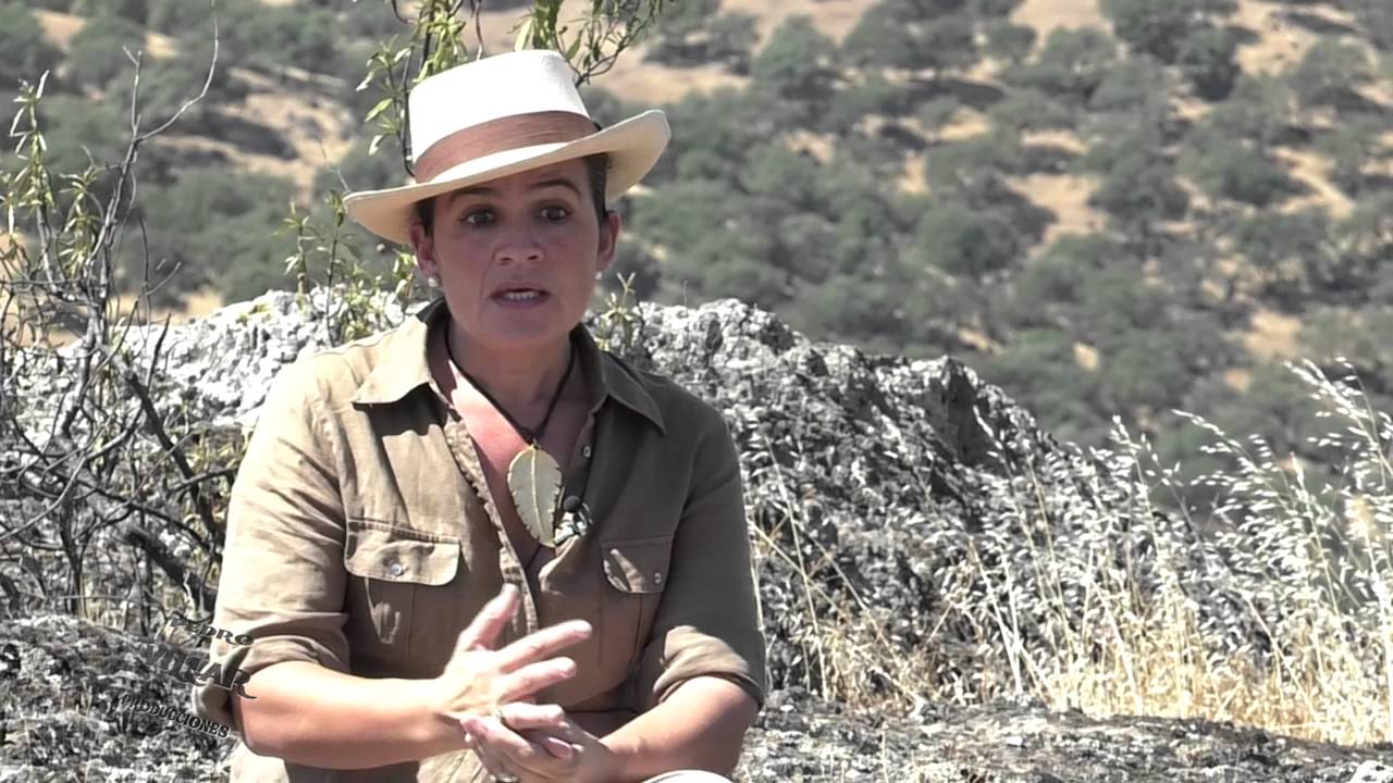 Castillejo de Huebra