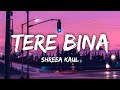 Tere bina lyrics  shreea kaul