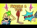 Science for kids | Body Parts - Fingers and Toes | Experiments for kids | Operation Ouch