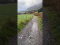 C'EST L'AUTOMNE...