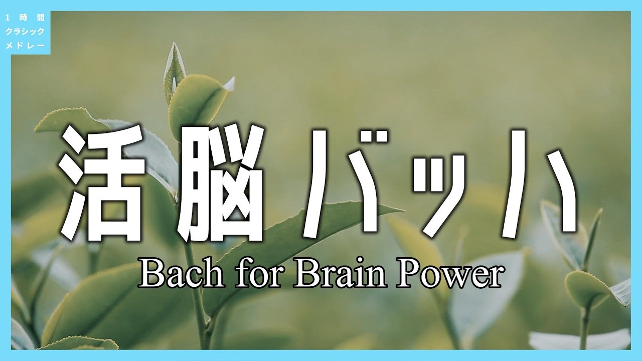 活脳バッハ～Bach for Brain Power