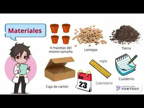 Video: ¿Por qué las plantas crecen con luz? ¿Cómo afecta la luz a las plantas?