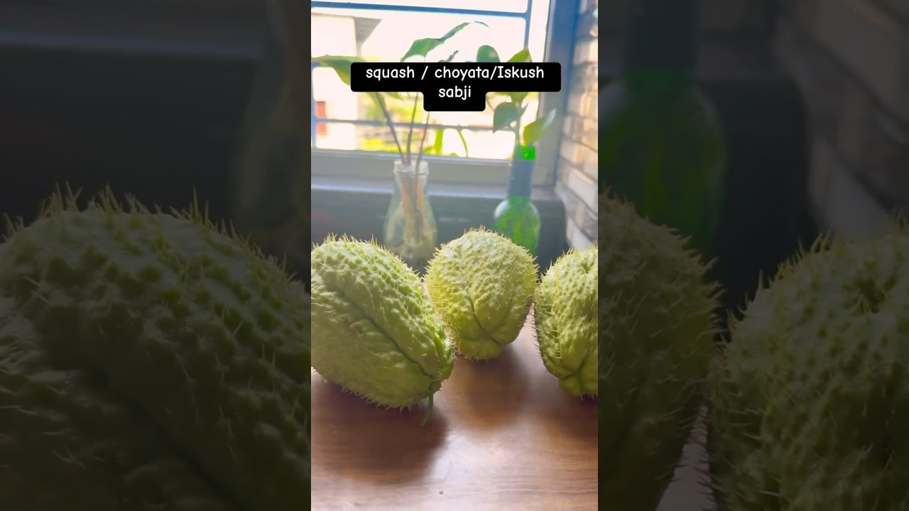 HEALTHY Iskush/ choyata/ squash tarkari, sabji | indian vegetable 