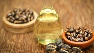 Tips Castor oil 5 Best overnight Remedies