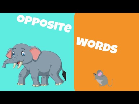 Opposite Words in