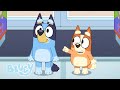 Best Moments of NEW Series 3 | Bluey