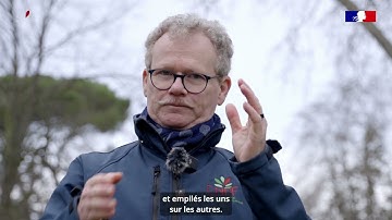 Arcures - Méthode ARCHI et Dendro-Marqueurs Architecturaux - DMA 9/21