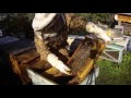 Сборка гнезда в зиму 16 рамочного улья лежака для 100% зимовки пчелок. Beekeeping.
